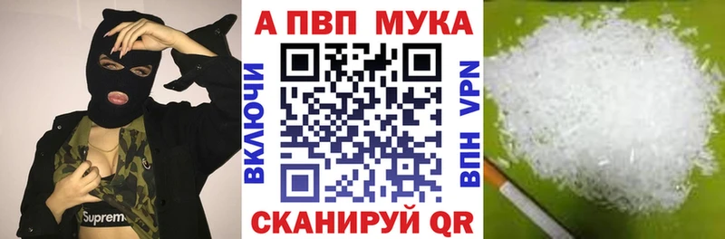 A PVP СК Кашин