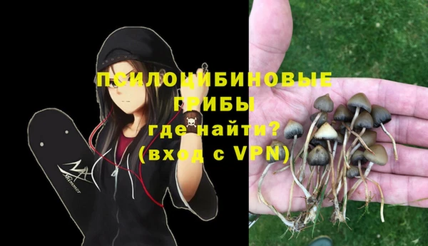 прущие крисы Армянск