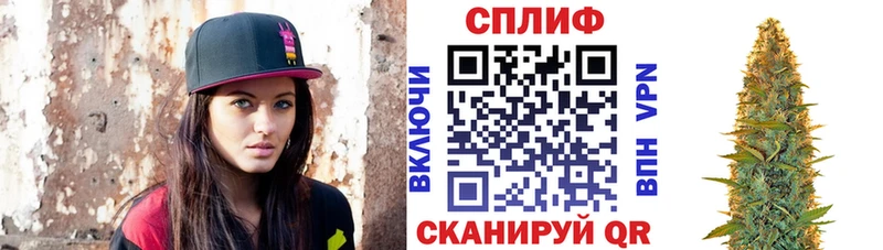 МАРИХУАНА конопля  Кашин 
